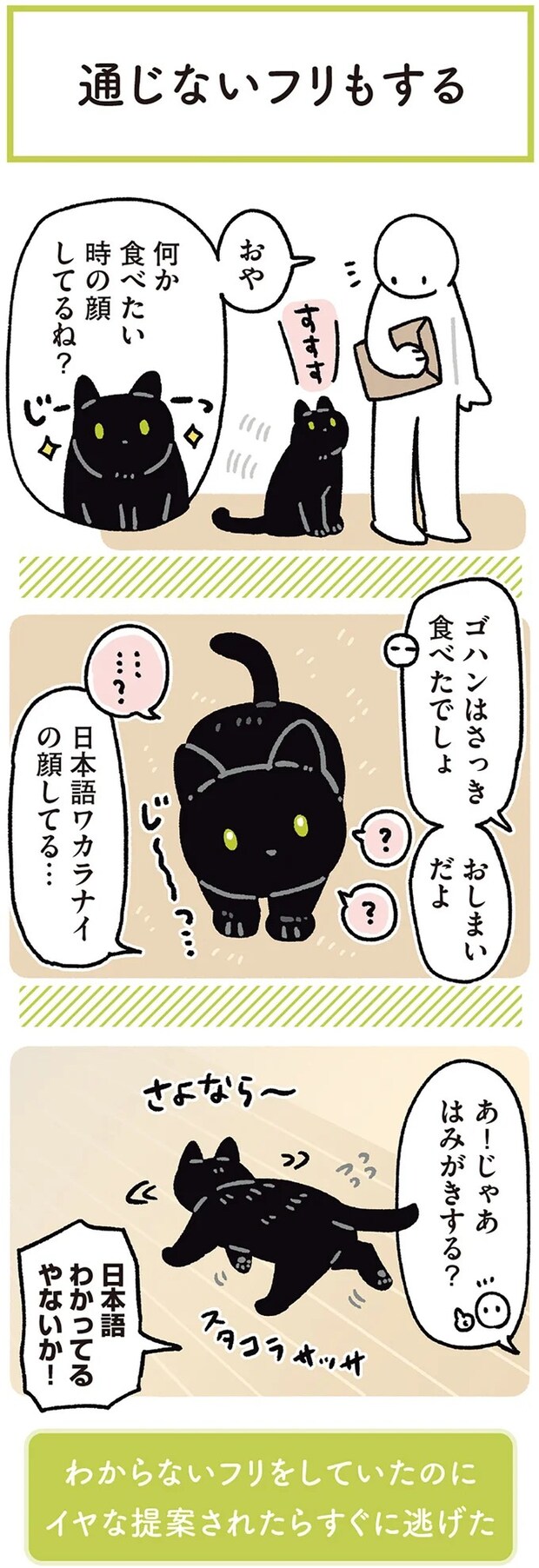 15986463.webp