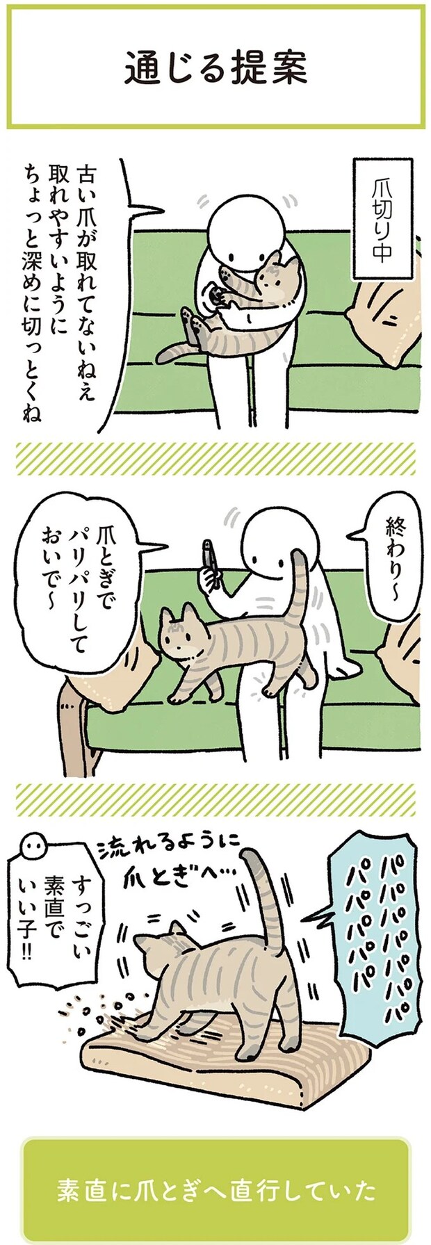 15986464.webp