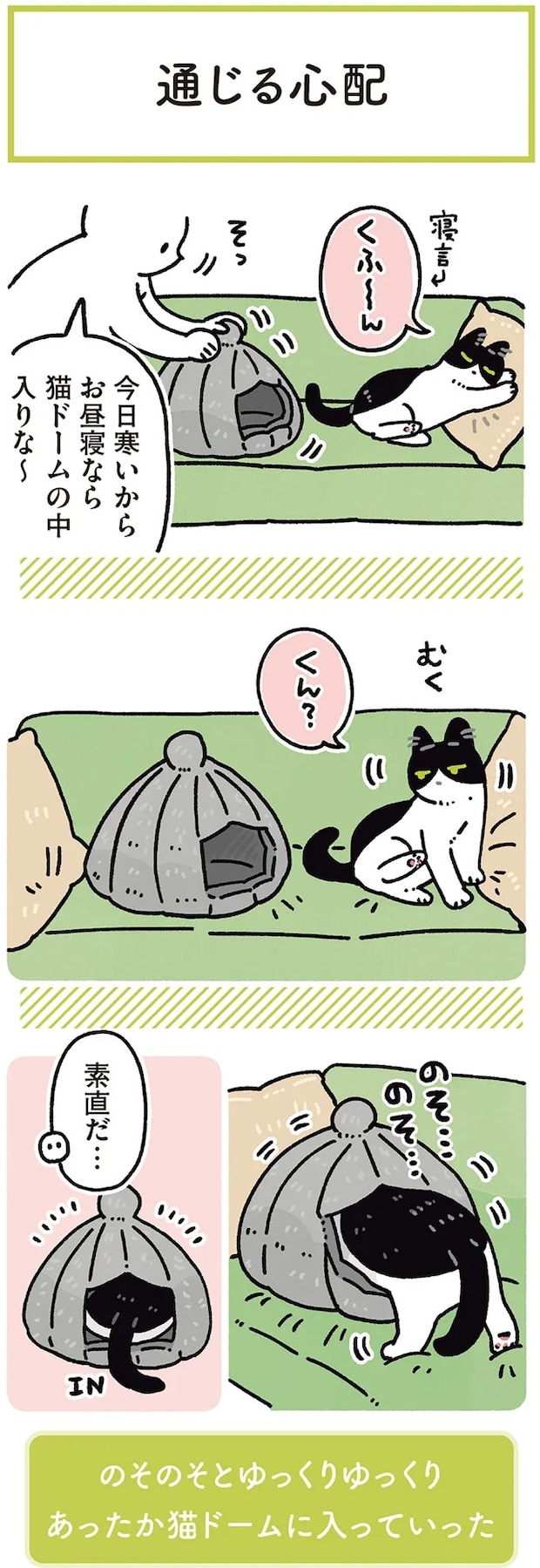 15986465.webp