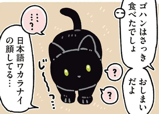 うちの猫はけっこう言葉が通じる。でもイヤな提案には...おいっ/黒猫ろんと暮らしたら7