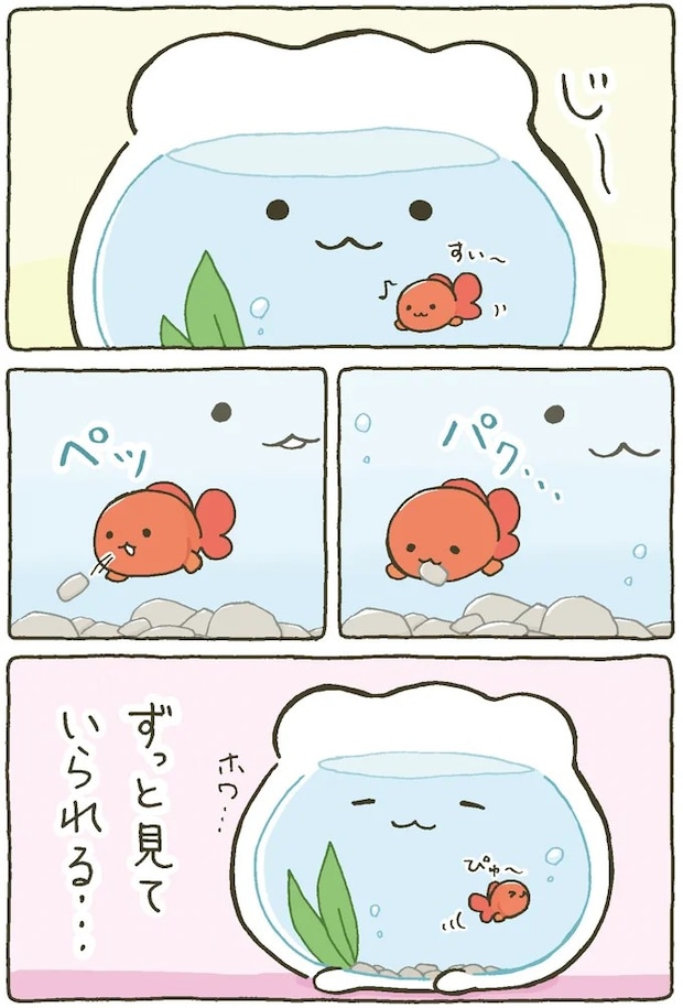 15984457.webp