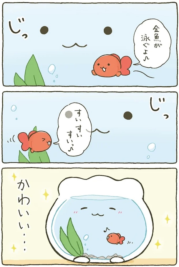 15984458.webp