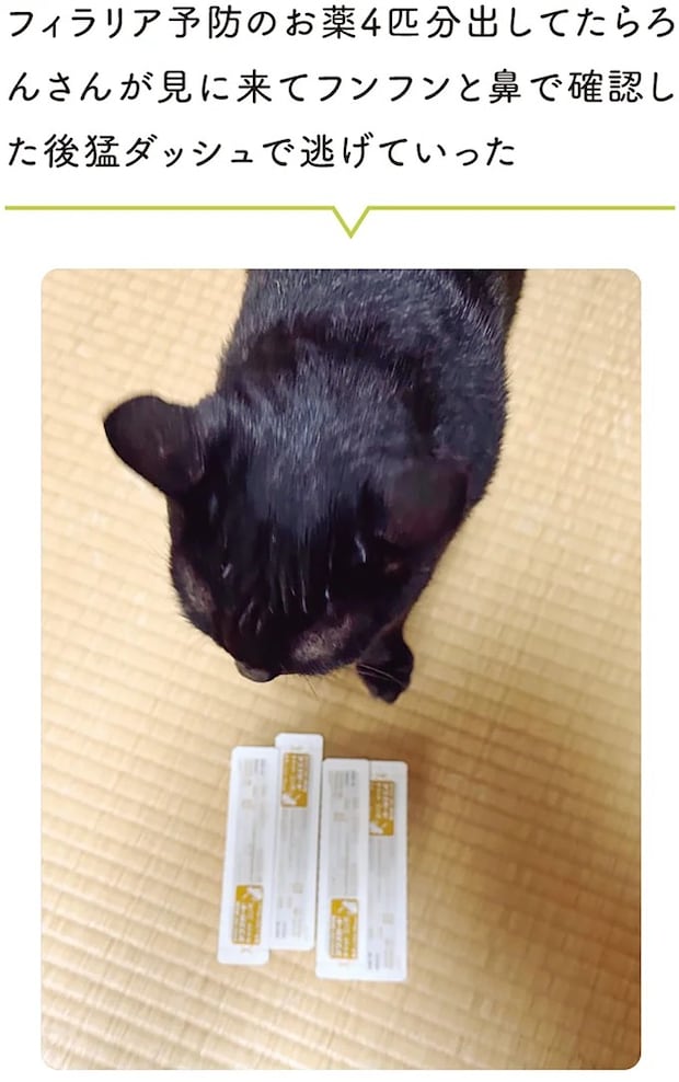 15986783.webp