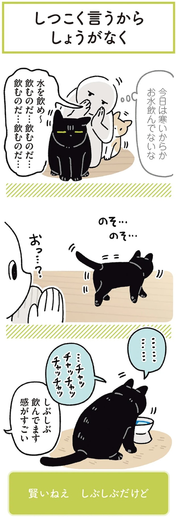 15986780.webp