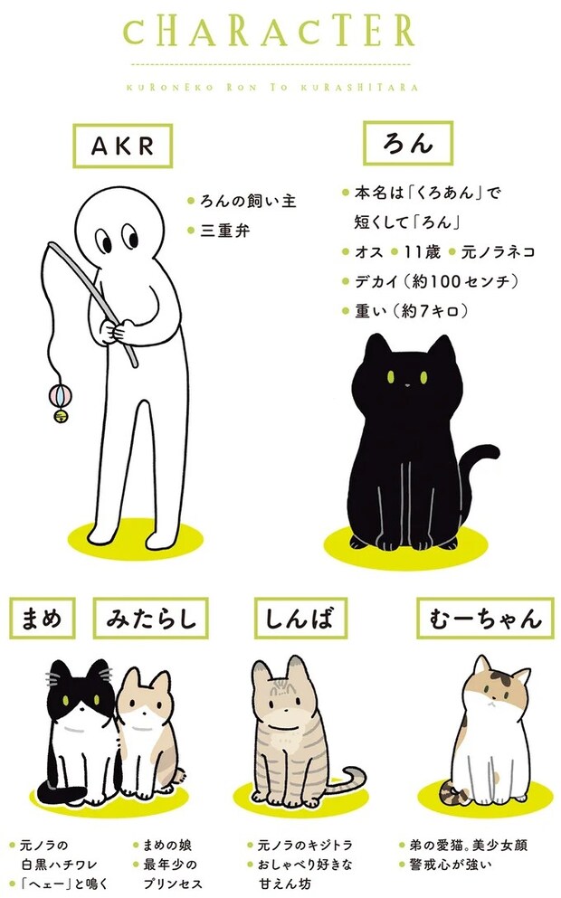 15986328.webp