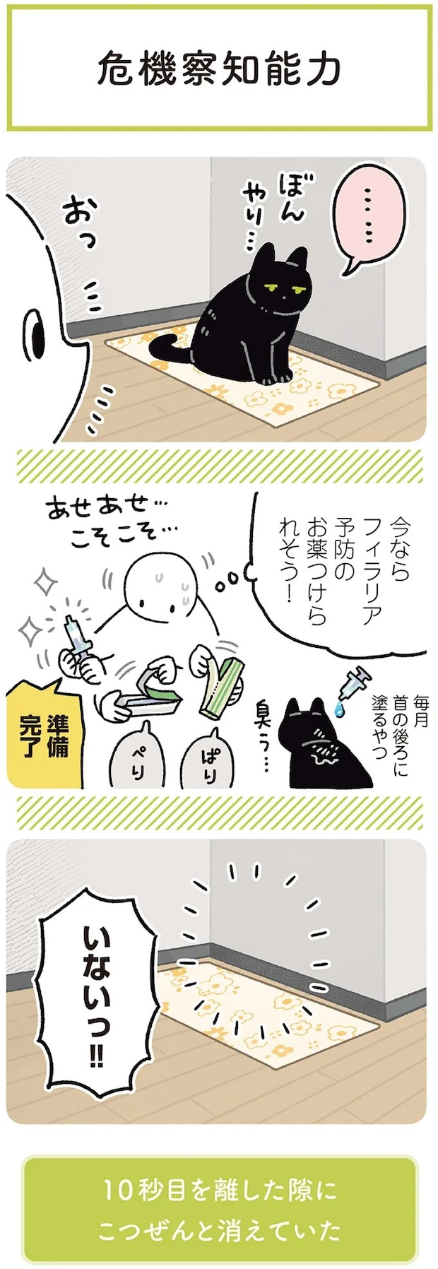 15986782.webp
