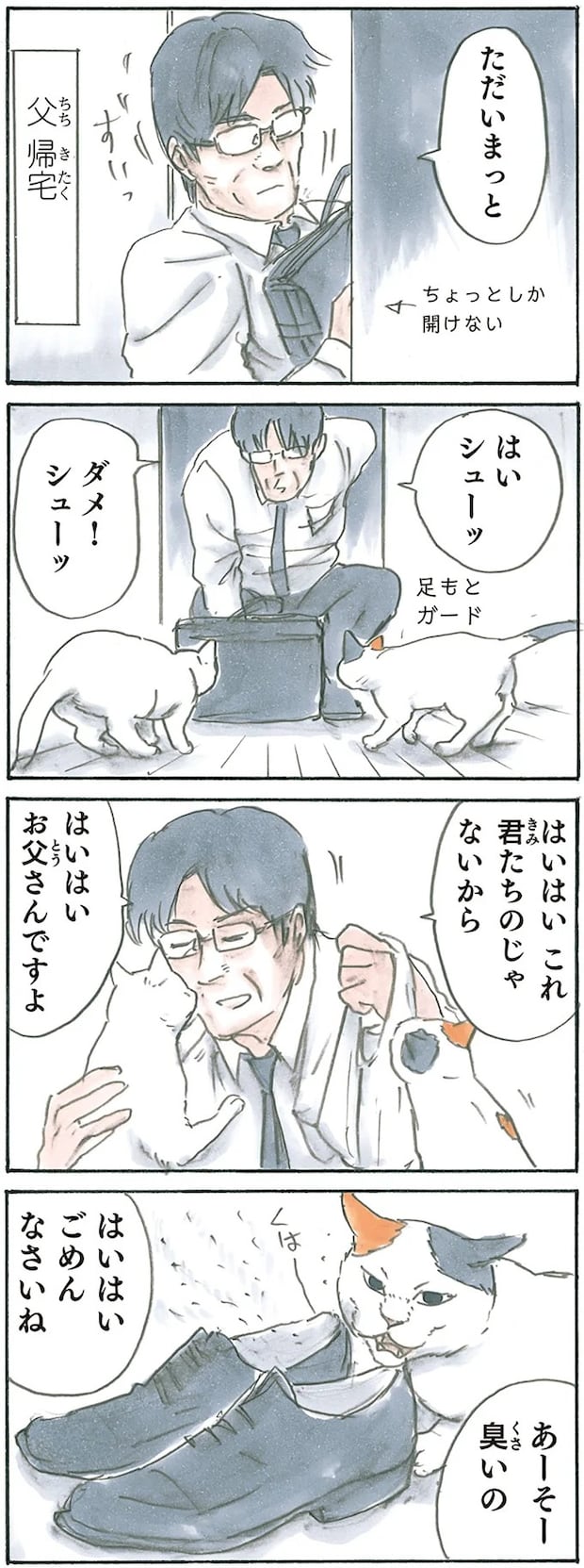 12975658.webp