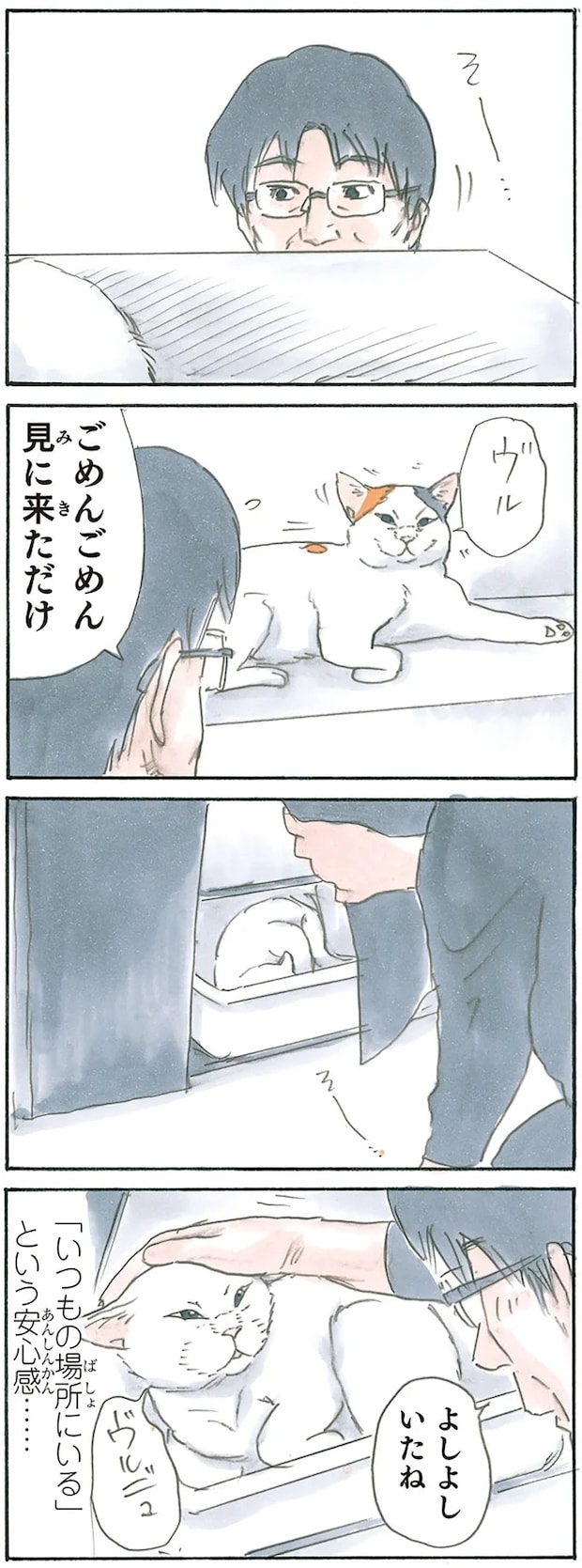 12975657.webp