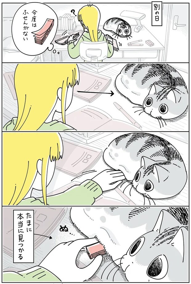 15971487.webp