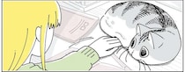 たまに見つかるから...。探し物中、机の上で寝てる愛猫の下を確認したくなる／夜は猫といっしょ6