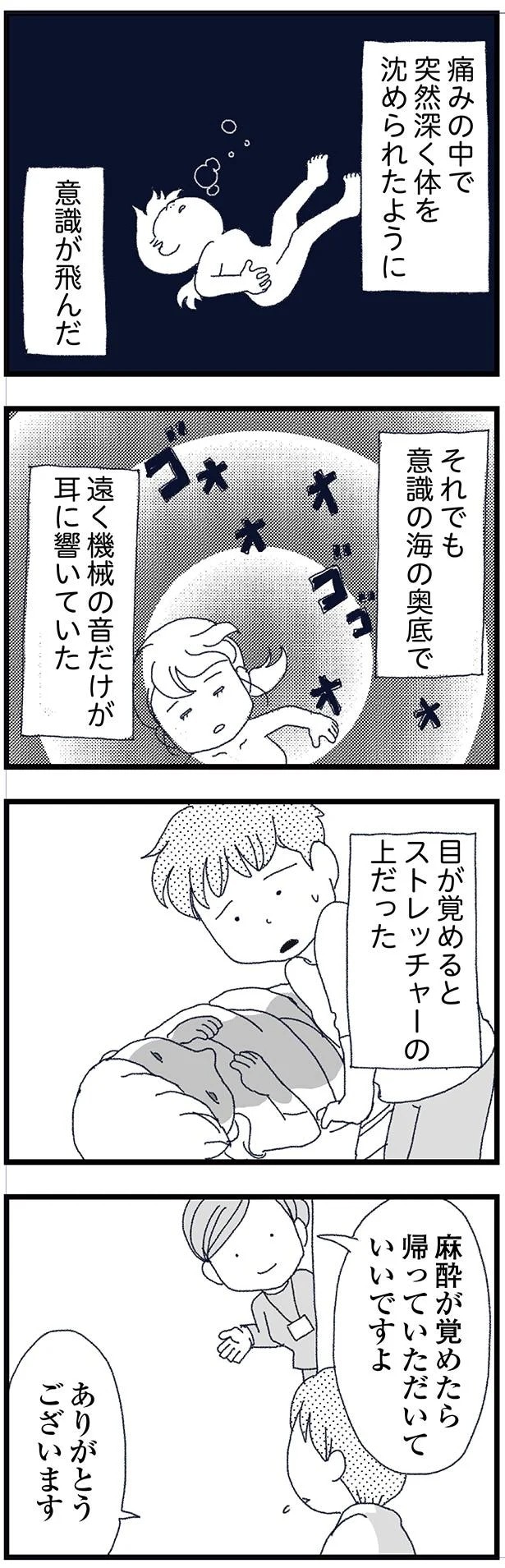 15830962.webp