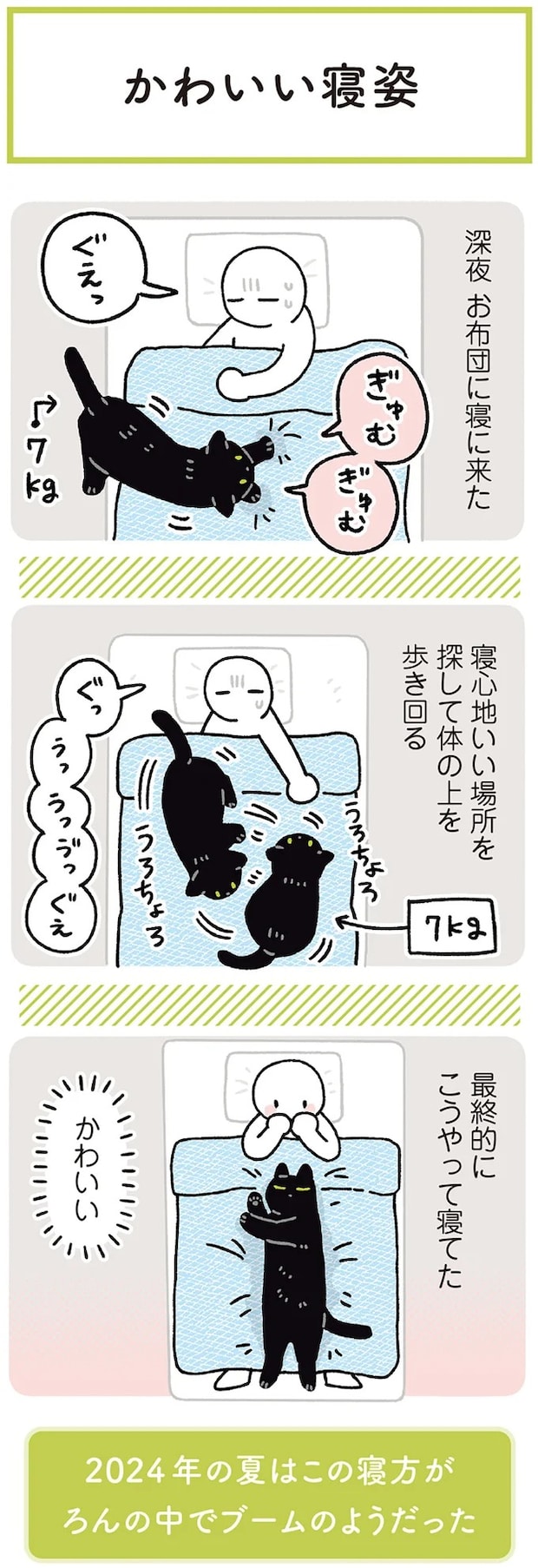 15986788.webp