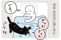 ぐぇっ。7キロの愛猫が私の布団の上で寝心地のいい場所を探し歩き回り...／黒猫ろんと暮らしたら7