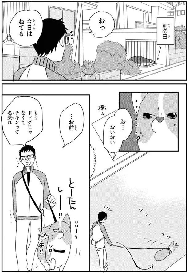 15923035.webp