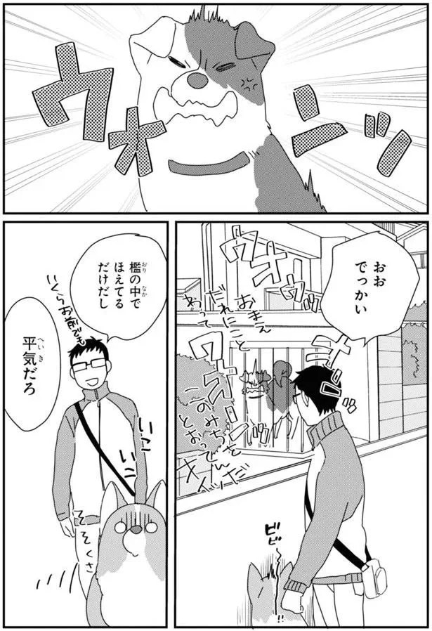 15923034.webp