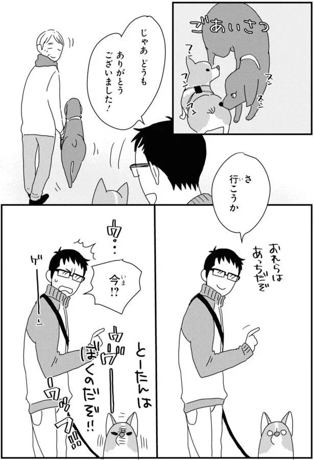 15923038.webp