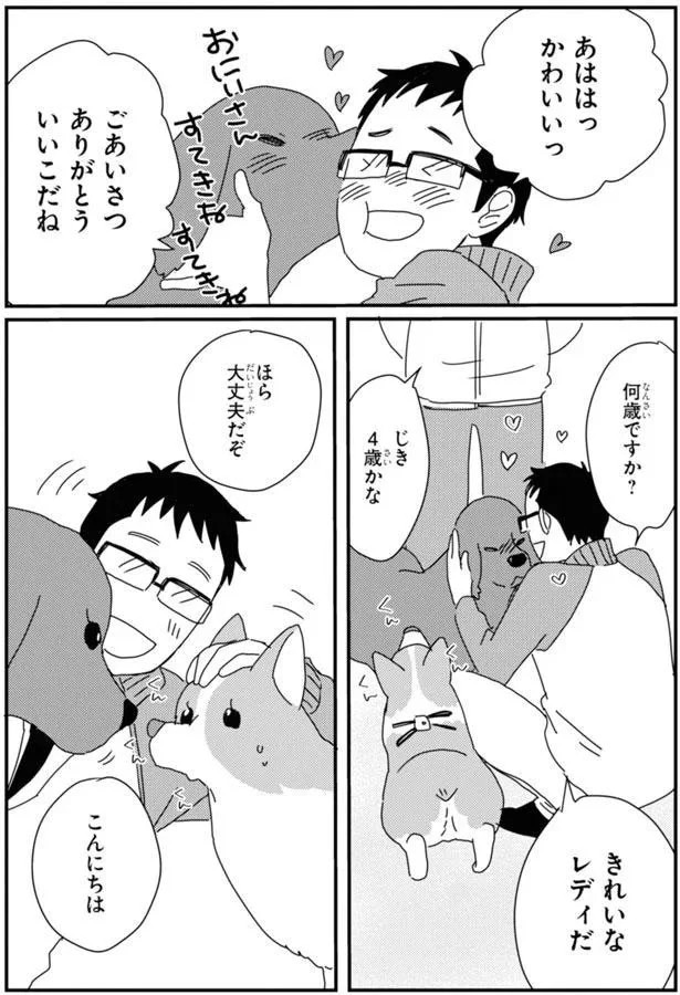 15923037.webp