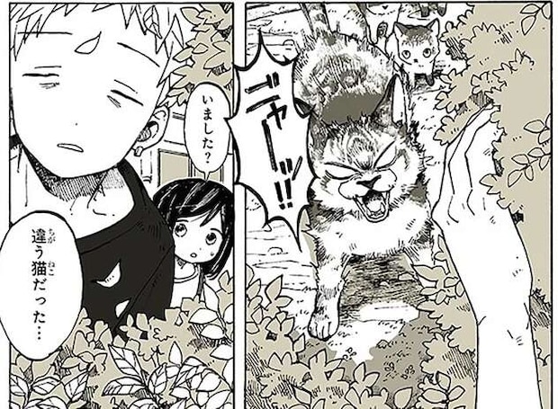 飼っていた子猫がいなくなった...！ ご近所さんが渡してくれた「役に立つ粉」／特別じゃない日