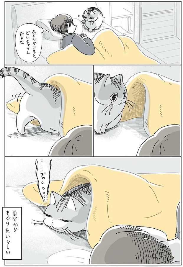 15971498.webp