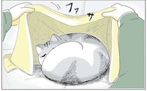 うちの猫は布団を「かけられる」のがイヤ。抜け出してしばらくすると...え？／夜は猫といっしょ6