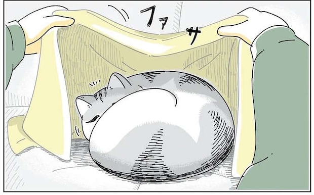 うちの猫は布団を「かけられる」のがイヤ。抜け出してしばらくすると...え？／夜は猫といっしょ6
