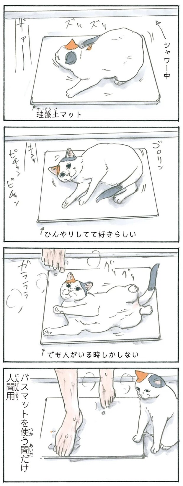 13238788.webp