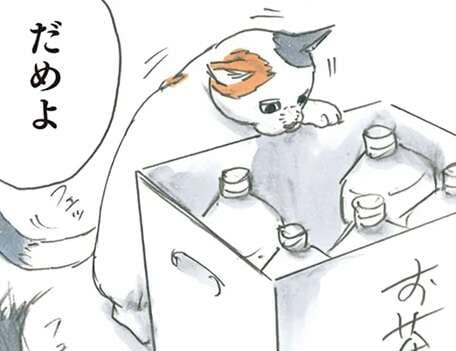 猫はスペースを見逃さない！ 狭すぎる場所に潜りこむ猫を止めたのに!?／拾い猫のモチャ5