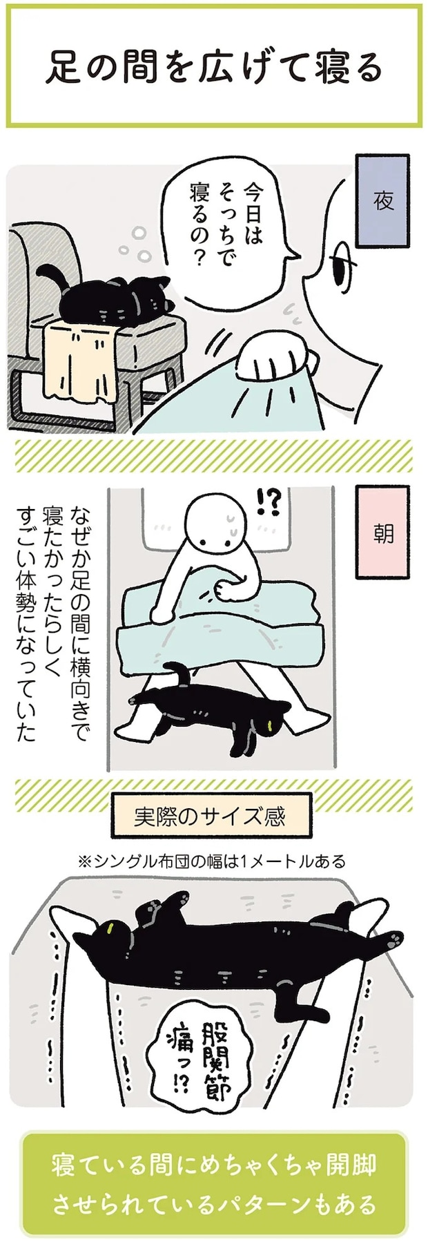 15986795.webp