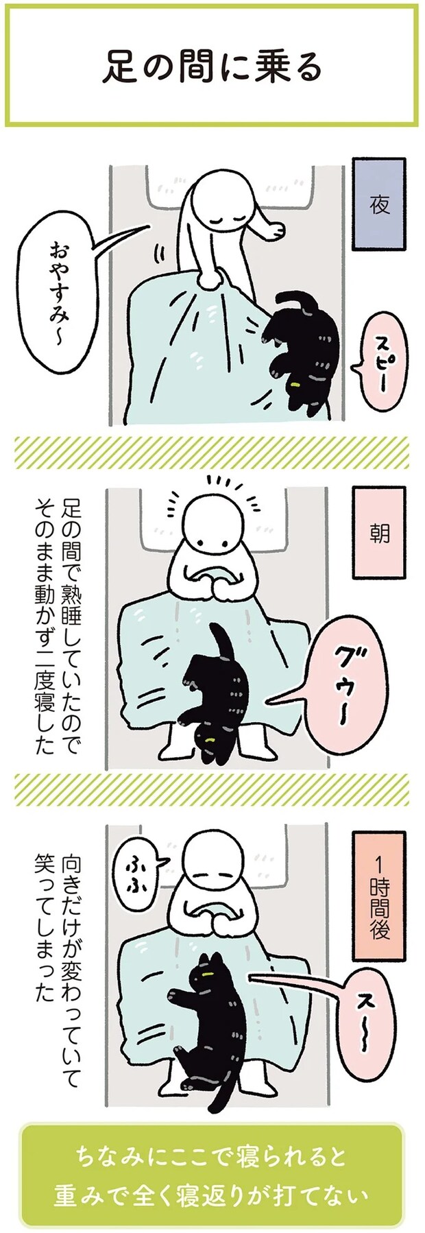 15986794.webp