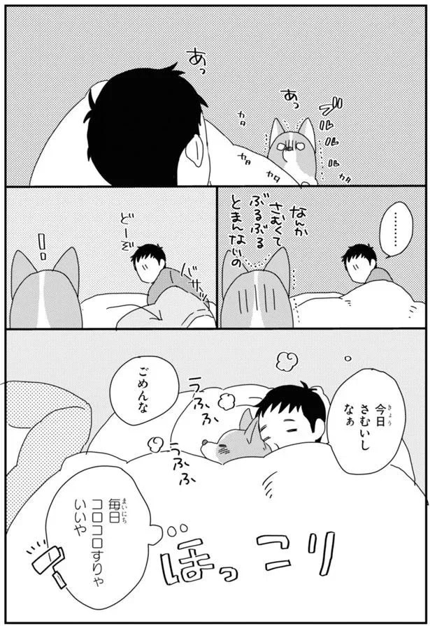 15923043.webp