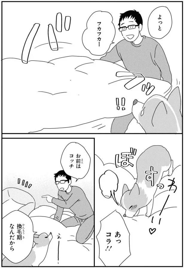 15923041.webp