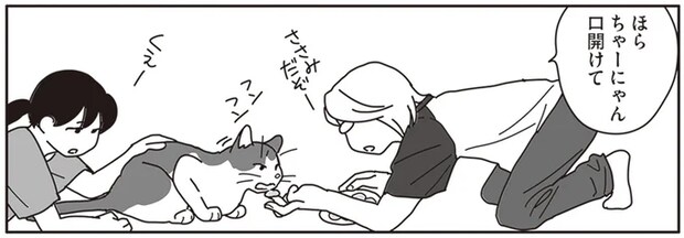 ガンで余命3カ月の猫...食欲はあるのに食べられない。飼い主は試行錯誤を／世界一幸せな飼い主にしてくれた猫