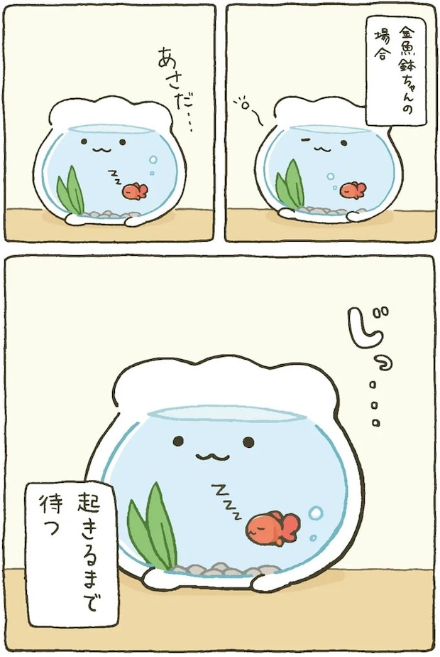 15984436.webp