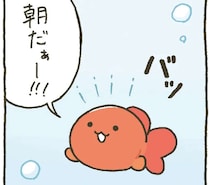 起こしたり見守ったり。金魚鉢ちゃんの金魚くんの朝のルーティン／金魚鉢ちゃん ずっといっしょのまいにち