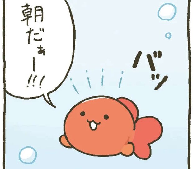 起こしたり見守ったり。金魚鉢ちゃんの金魚くんの朝のルーティン／金魚鉢ちゃん ずっといっしょのまいにち