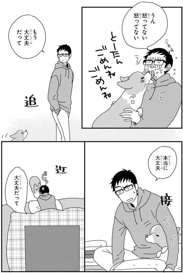 15923052.webp