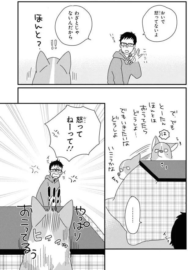 15923051.webp