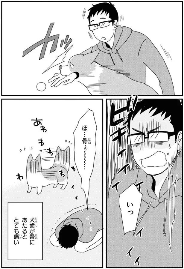 15923049.webp