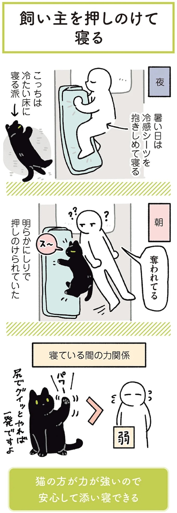 15986800.webp
