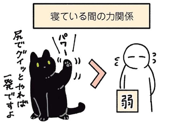 力関係は「猫＞飼い主」。飼い主を押しのけて寝る愛猫／黒猫ろんと暮らしたら7