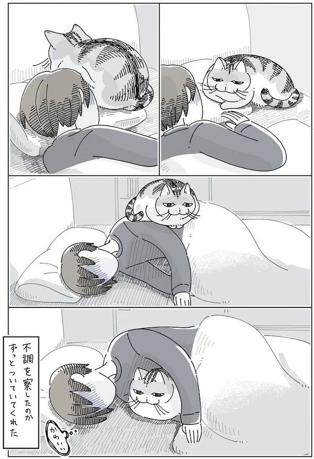 15971531.webp