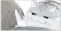 普段はマイペースな猫が察した？ 体調不良の飼い主にずっと...／夜は猫といっしょ6