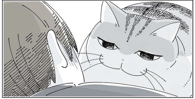 普段はマイペースな猫が察した？ 体調不良の飼い主にずっと...／夜は猫といっしょ6