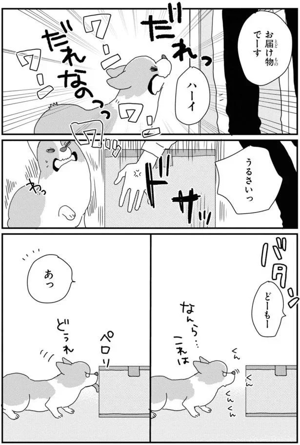 15923056.webp