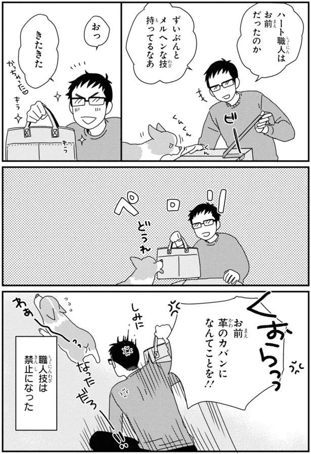 15923058.webp