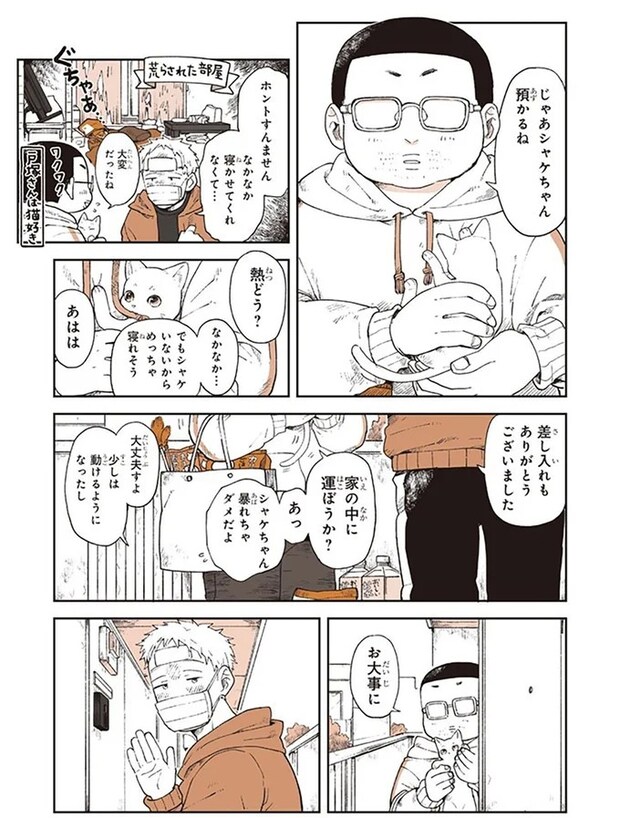 15667027.webp