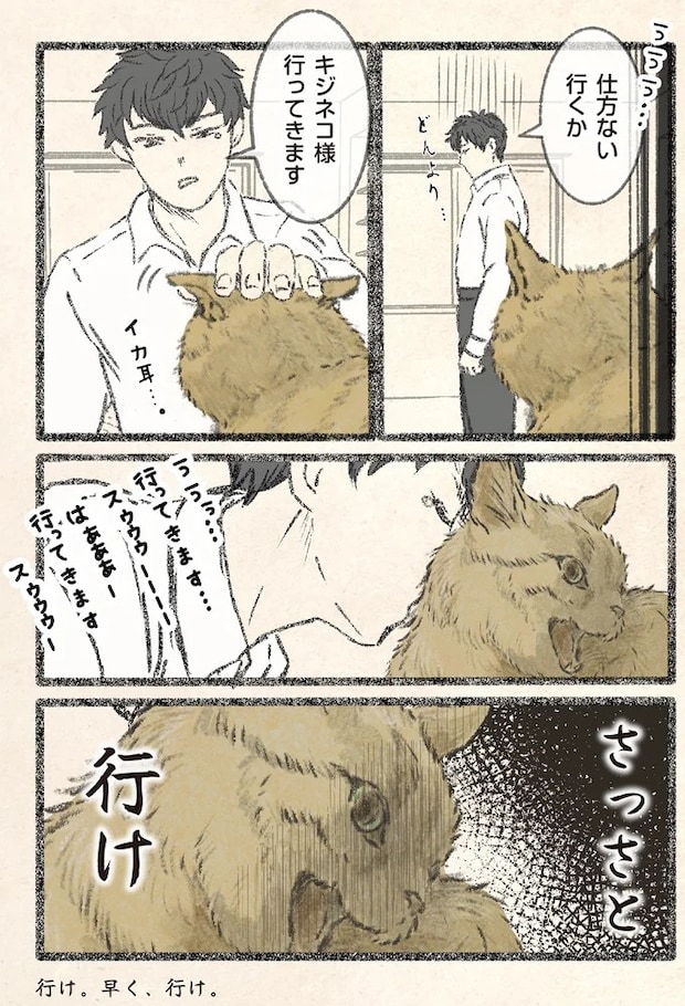 12.webp
