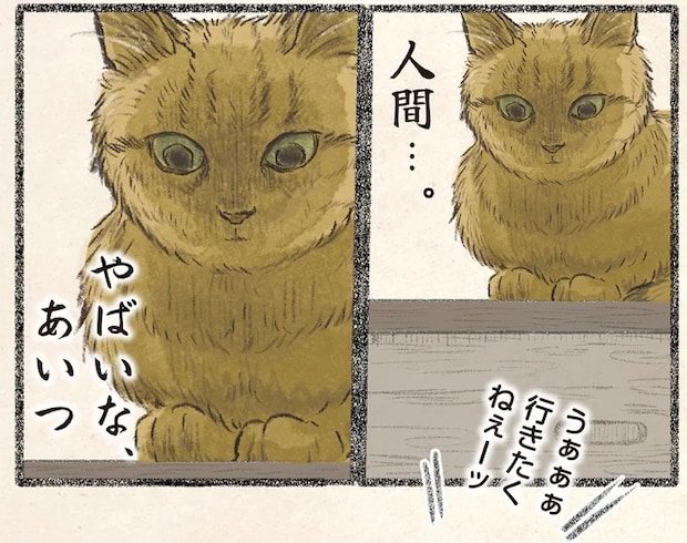 「仕事やだぁぁぁー!!」月曜の朝、駄々をこねる飼い主を見てネコ様ドン引き／今日もネコ様の圧が強い2