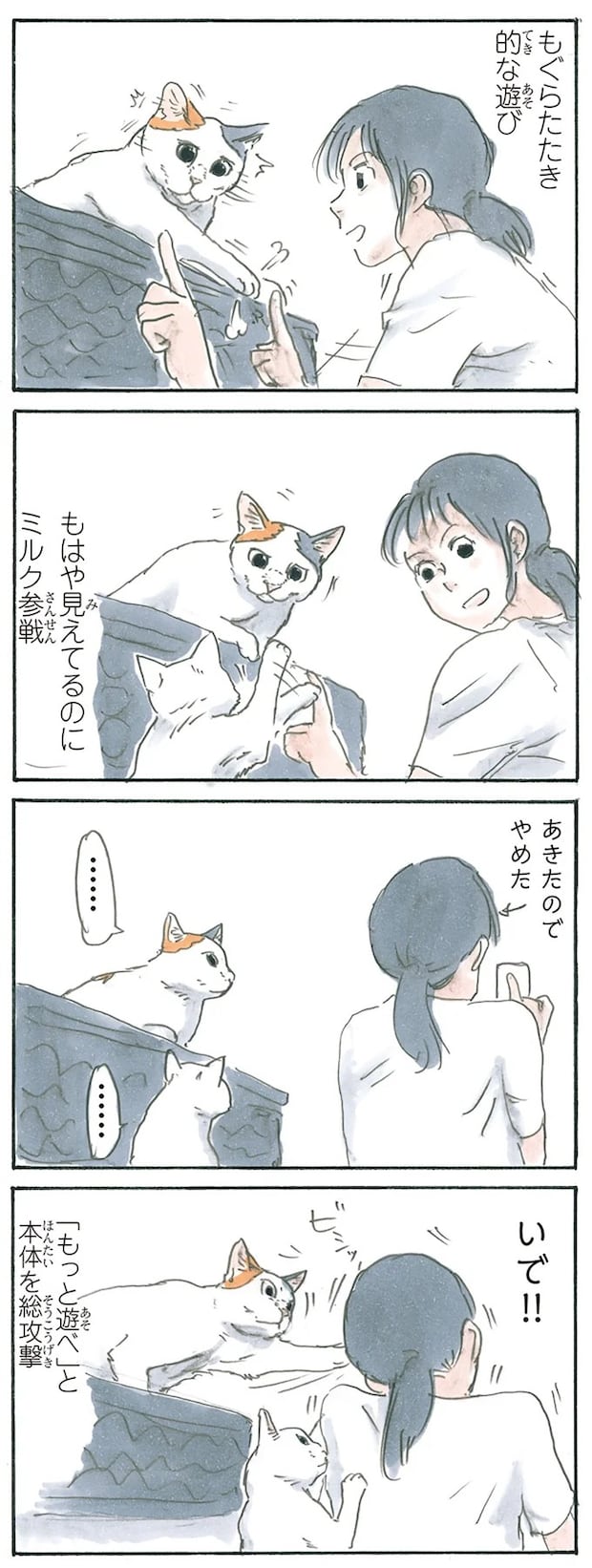 13238818.webp
