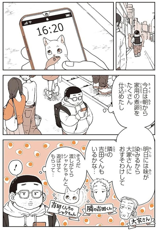 15667042.webp